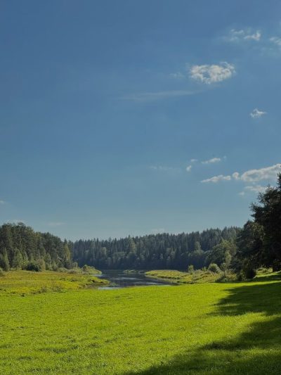 Василево в августе — фото погоды (2025-08-31)