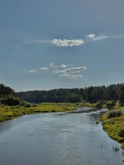 Василево в августе — фото погоды (2025-08-31)