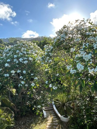 Glacis, Mahe Seychelles в октябре — фото погоды (2025-10-12)