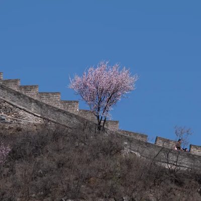 The Great Wall at Juyong Pass 居庸关长城 в марте — фото погоды (2026-03-24)