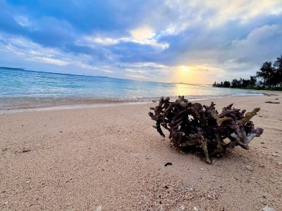 St. Felix Public Beach в сентябре — фото погоды (2025-09-30)