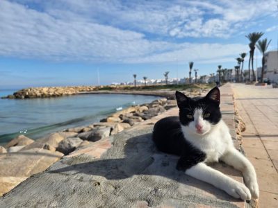 Corniche El Mahdia в декабре — фото погоды (2025-12-27)
