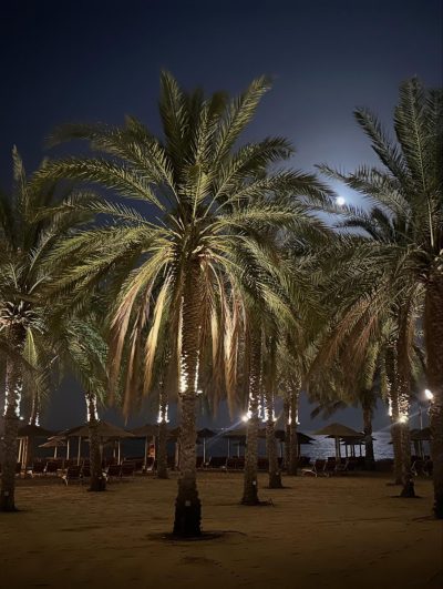 Miramar Alaqah Beach Resort — фото погоды в июне (2026-06-30)