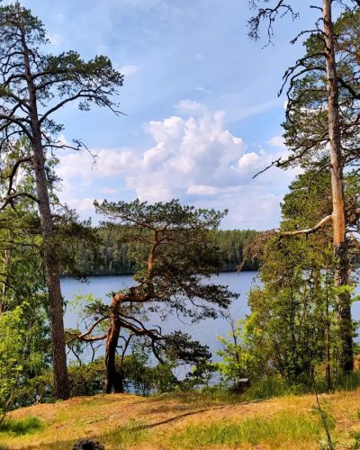 Никоновская Бухта в июле — фото погоды (2024-07-18)
