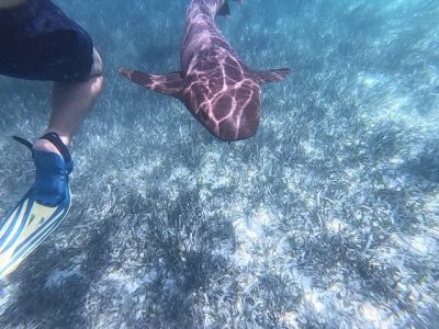 Hol Chan Marine Reserve в июле — фото погоды (2026-07-05)