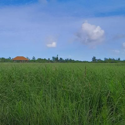 Meedhoo (Addu) в августе — фото погоды (2025-08-30)