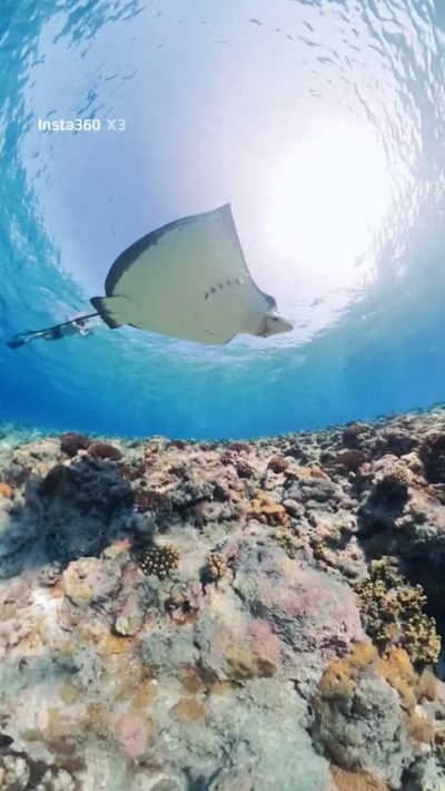 Meedhoo (Addu) в феврале — фото погоды (2026-02-24)