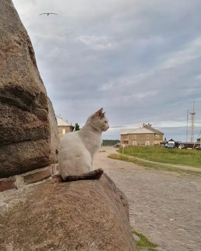 Solovetsky, Arkhangelsk Oblast в августе — фото погоды (2022-08-09)