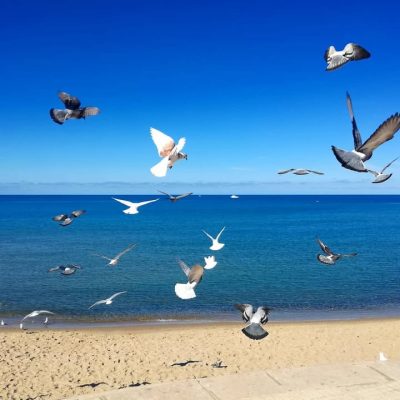 Cefalù Playa в феврале — фото погоды (2020-02-22)