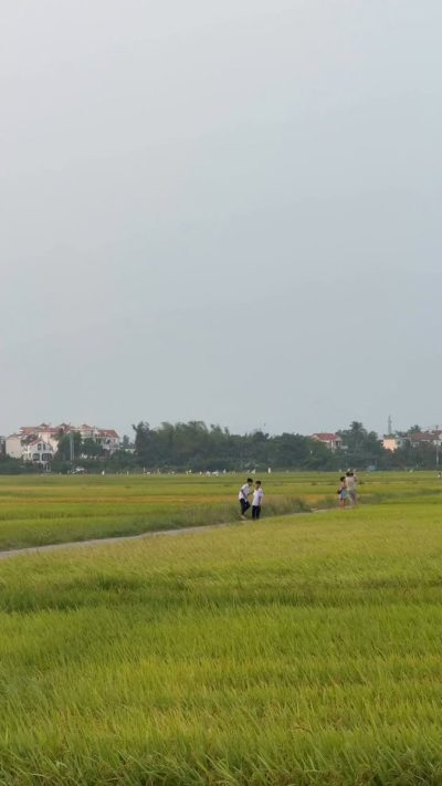Rêu Boutique Hotel — фото погоды в апреле (2026-04-19)