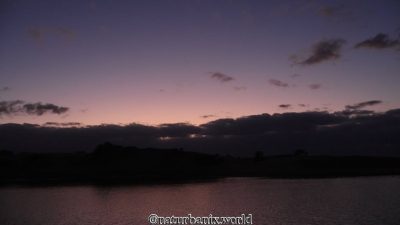 Maspalomas, Gran Canary Island — фото погоды в апреле (2026-04-13)
