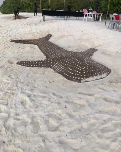 Dhigurah Beach в феврале — фото погоды (2026-02-01)