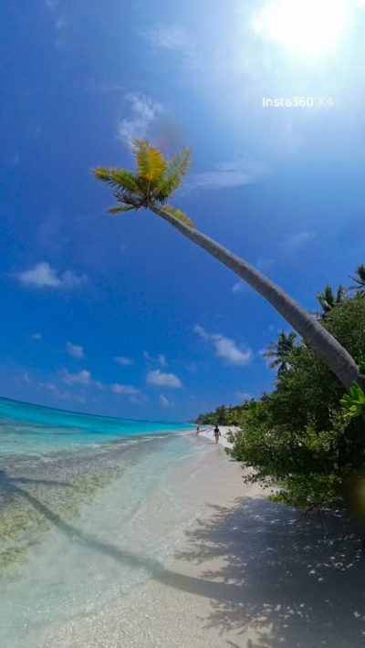Dhigurah Beach в феврале — фото погоды (2026-02-02)