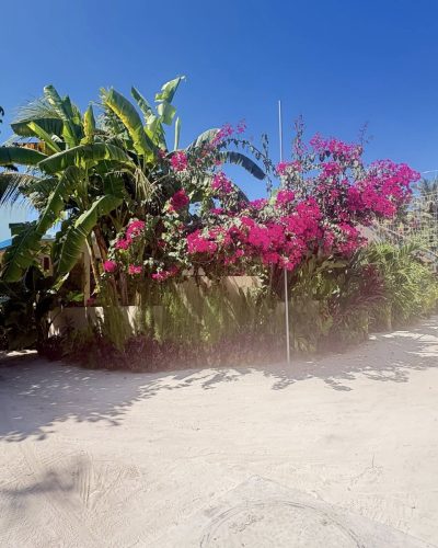 Dhigurah Beach в феврале — фото погоды (2026-02-05)