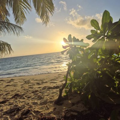 Dhigurah Beach в июле — фото погоды (2026-07-11)