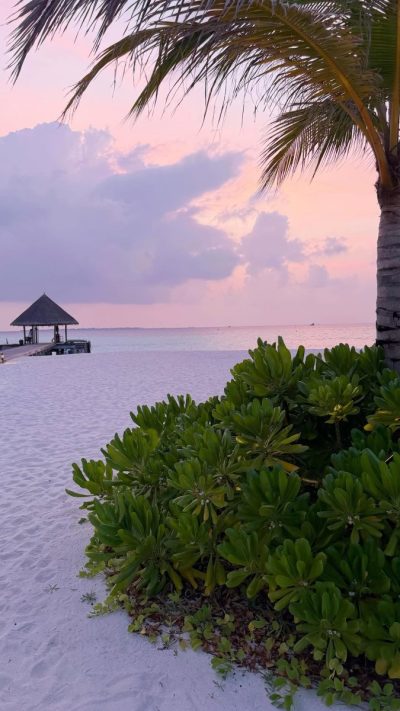 Maldives в феврале — фото погоды (2026-02-08)