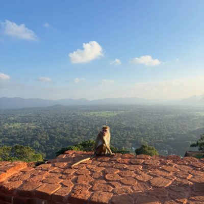 Sirigaya Rock в июле — фото погоды (2026-07-01)