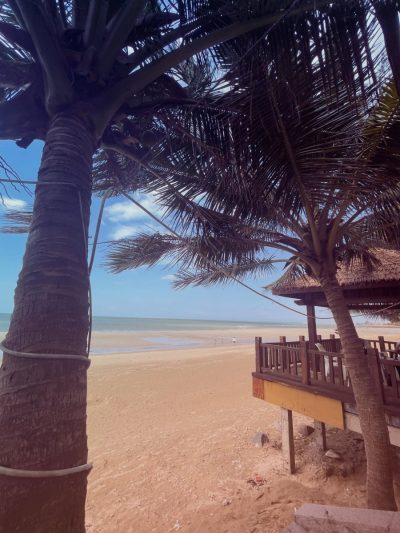 Hainan Island в мае — фото погоды (2026-05-14)