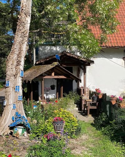 п. Лесной (Куршская Коса) в июне — фото погоды (2026-06-21)