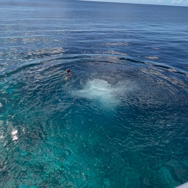 Погода в Playa Kalki Westpunt Curacao