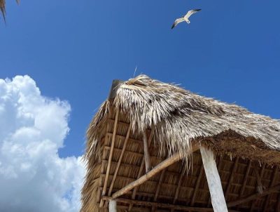 Playa Larga в августе — фото погоды (2024-08-17)