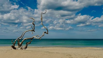 Jungle Beach an Uga Experience в сентябре — фото погоды (2025-09-28)