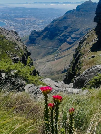 Platteklip Gorge в январе — фото погоды (2026-01-31)