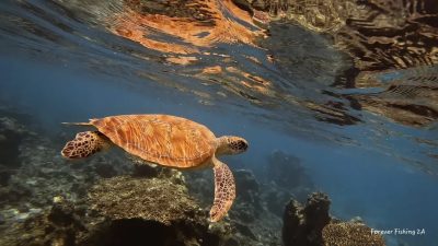 Sakatia Lodge, Madagascar в октябре — фото погоды (2025-10-02)