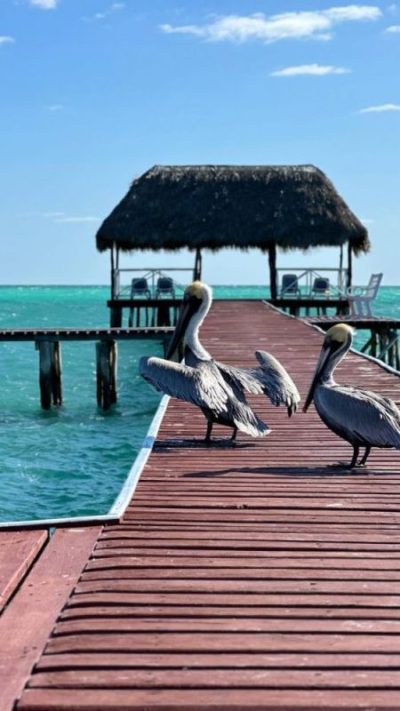 Cayo Coco Cuba в марте — фото погоды (2025-03-31)