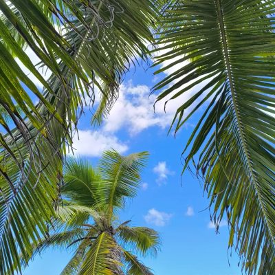 Anse Parnel, Mahe, Seychelles в апреле — фото погоды (2025-04-26)