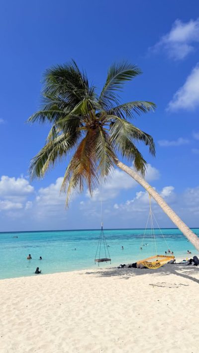 Nika Island Resort - Ari Atoll (Maldive) — фото погоды в феврале (2026-02-02)