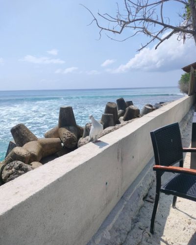 Anantara Dhigu Maldives Resort — фото погоды в апреле (2026-04-12)