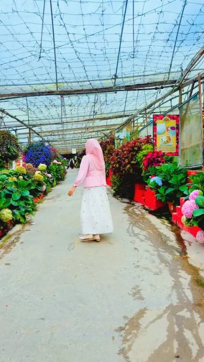 Big Red Strawberry Farm, Cameron Highlands в декабре — фото погоды (2025-12-30)