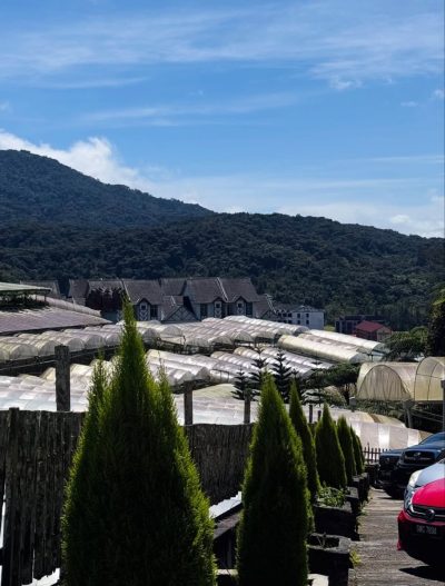 Big Red Strawberry Farm, Cameron Highlands в январе — фото погоды (2026-01-25)