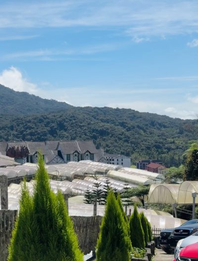Big Red Strawberry Farm, Cameron Highlands в январе — фото погоды (2026-01-25)