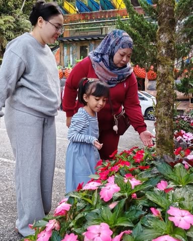 Big Red Strawberry Farm, Cameron Highlands в апреле — фото погоды (2026-04-12)