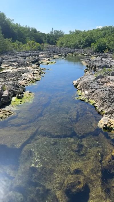 Laguna Yal-ku, Akumal в январе — фото погоды (2026-01-16)