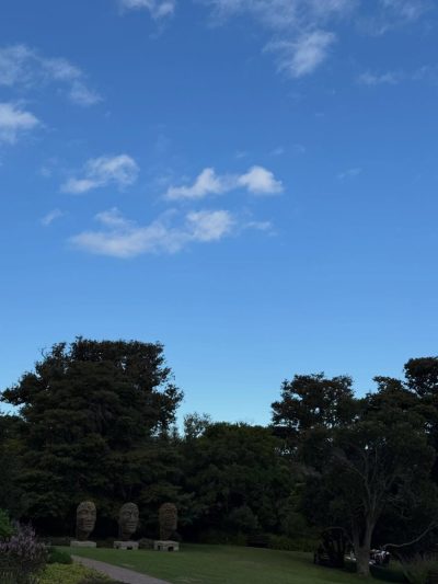 Kristenbosch, Cape Town в марте — фото погоды (2026-03-23)