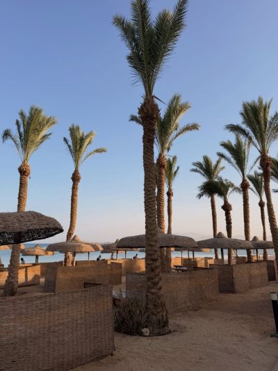 Palm Royale Resort - Soma Bay — фото погоды в июне (2026-06-12)