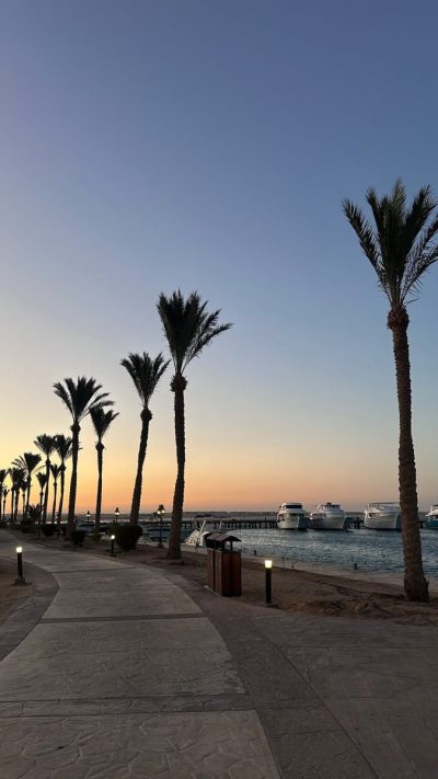 Palm Royale Resort - Soma Bay — фото погоды в июне (2026-06-23)