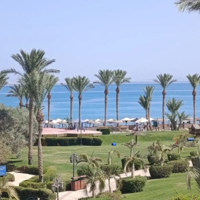 Palm Royale Resort - Soma Bay — фото погоды в июле (2026-07-06)