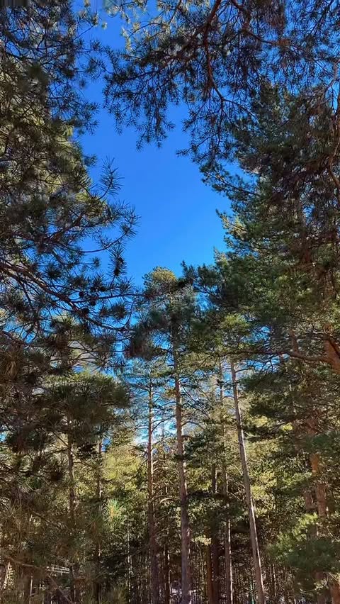Погода в Кабардино-Балкария
