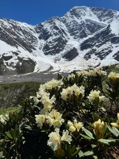 Cheget, Russian Caucasus в июле — фото погоды (2026-07-07)