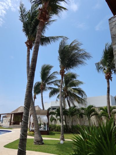Puerto Morelos в июле — фото погоды (2026-07-11)