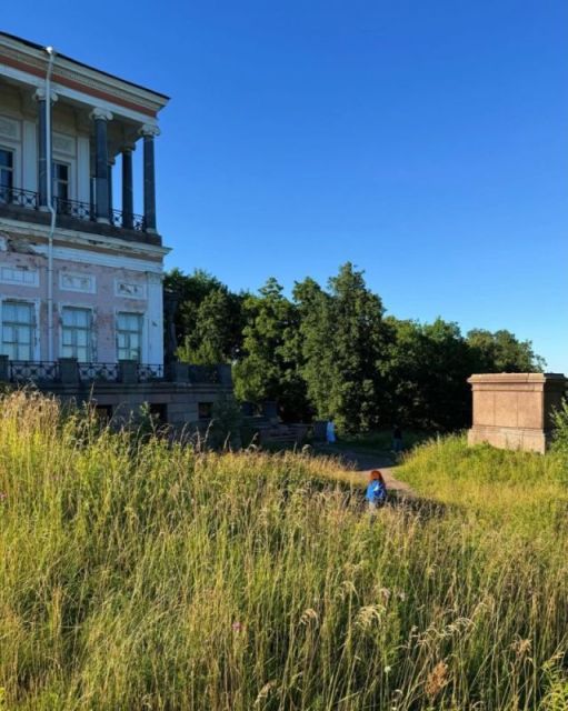 Погода в Петергоф