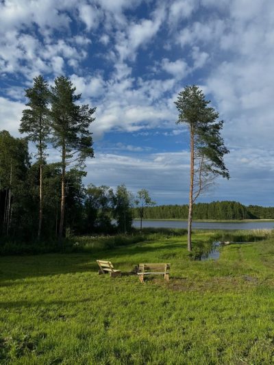 Кончезеро(Карелия) в июле — фото погоды (2026-07-10)