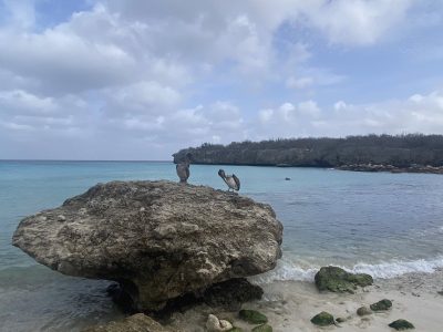 Playa Daaibooi в мае — фото погоды (2026-05-27)