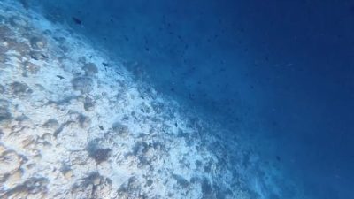 Dusit Thani Maldives в январе — фото погоды (2026-01-12)