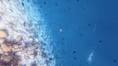 Dusit Thani Maldives в январе — фото погоды (2026-01-12)