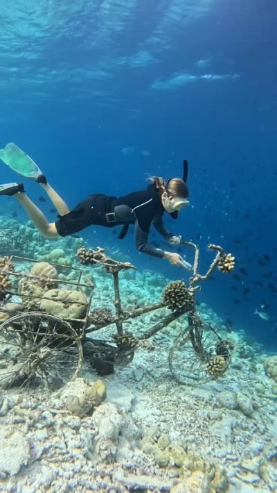 Dusit Thani Maldives в марте — фото погоды (2026-03-01)